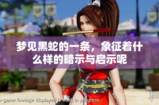 梦见黑蛇的一条，象征着什么样的暗示与启示呢