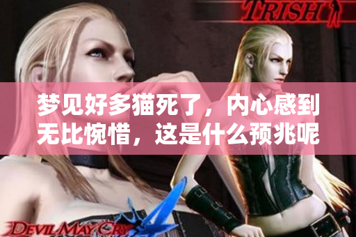 梦见好多猫死了，内心感到无比惋惜，这是什么预兆呢