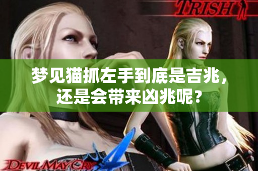 梦见猫抓左手到底是吉兆，还是会带来凶兆呢？
