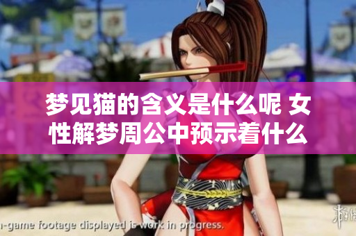 梦见猫的含义是什么呢 女性解梦周公中预示着什么