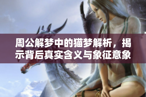 周公解梦中的猫梦解析，揭示背后真实含义与象征意象