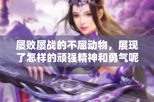 屡败屡战的不屈动物，展现了怎样的顽强精神和勇气呢