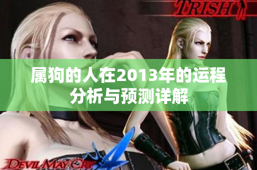 属狗的人在2013年的运程分析与预测详解