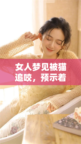 女人梦见被猫追咬，预示着什么神秘的含义呢