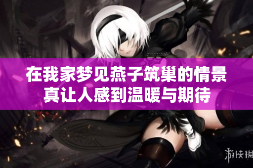 在我家梦见燕子筑巢的情景真让人感到温暖与期待