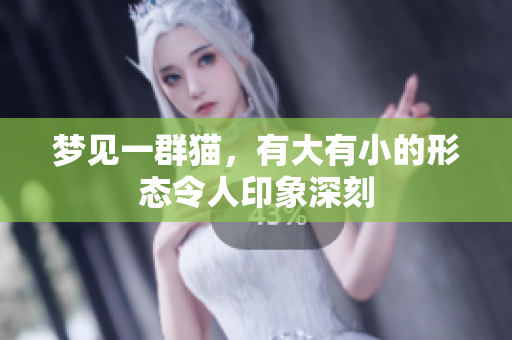 梦见一群猫，有大有小的形态令人印象深刻