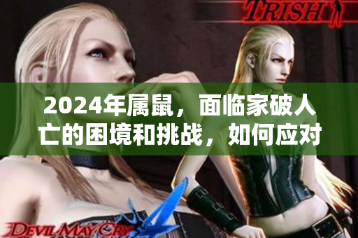 2024年属鼠，面临家破人亡的困境和挑战，如何应对？