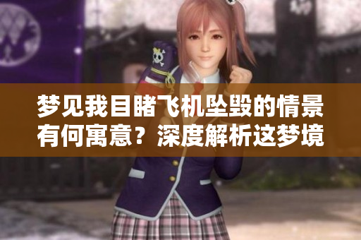 梦见我目睹飞机坠毁的情景有何寓意？深度解析这梦境的含义和影响。