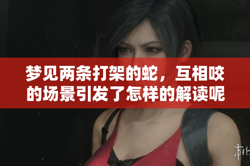 梦见两条打架的蛇，互相咬的场景引发了怎样的解读呢