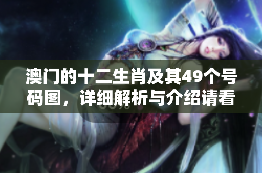 澳门的十二生肖及其49个号码图，详细解析与介绍请看这里