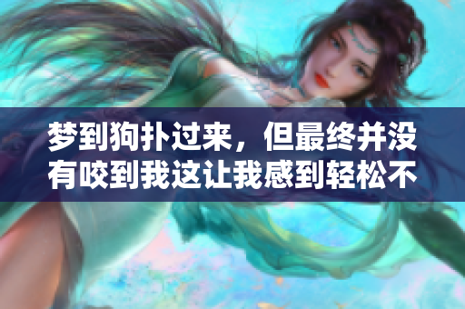 梦到狗扑过来，但最终并没有咬到我这让我感到轻松不少