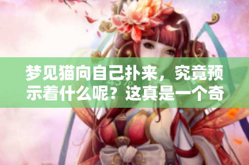 梦见猫向自己扑来，究竟预示着什么呢？这真是一个奇妙的梦境体验！