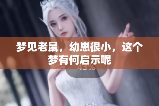 梦见老鼠，幼崽很小，这个梦有何启示呢