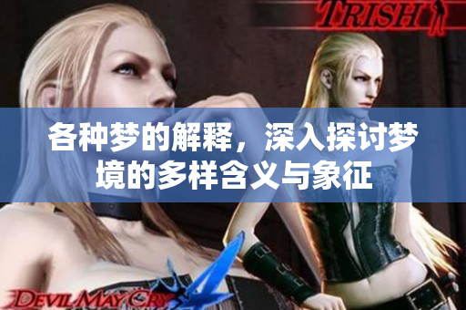 各种梦的解释，深入探讨梦境的多样含义与象征