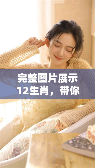 完整图片展示12生肖，带你领略每个生肖的独特魅力