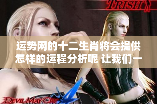 运势网的十二生肖将会提供怎样的运程分析呢 让我们一起去看看吧