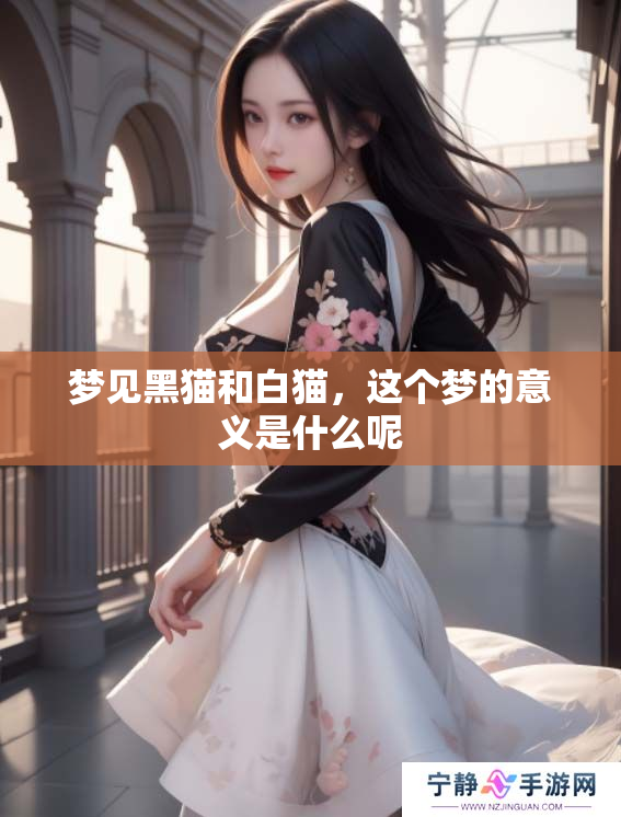 梦见黑猫和白猫，这个梦的意义是什么呢
