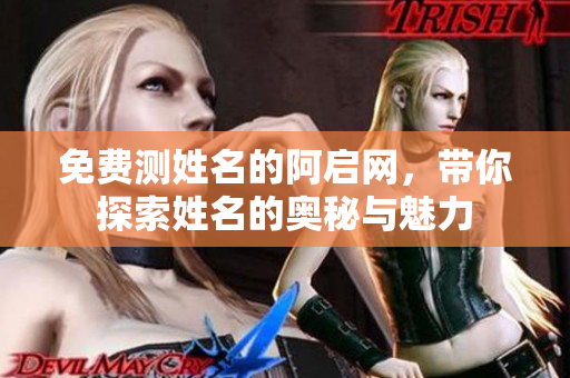 免费测姓名的阿启网，带你探索姓名的奥秘与魅力