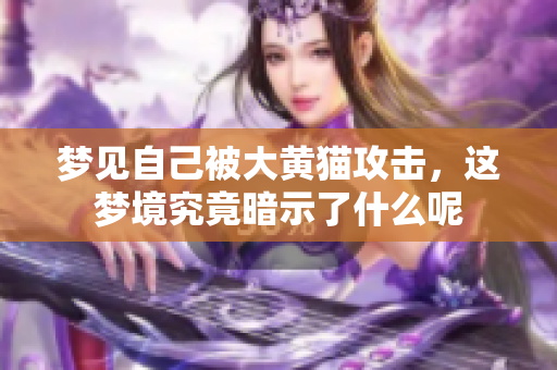 梦见自己被大黄猫攻击，这梦境究竟暗示了什么呢