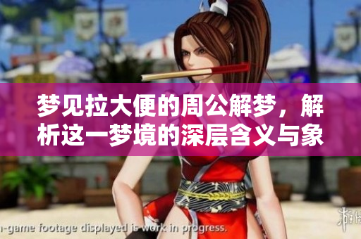 梦见拉大便的周公解梦，解析这一梦境的深层含义与象征意义