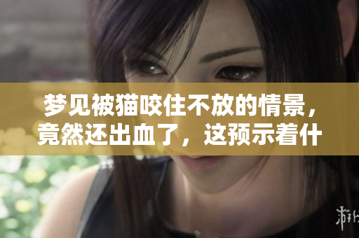 梦见被猫咬住不放的情景，竟然还出血了，这预示着什么呢