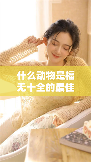 什么动物是福无十全的最佳代表，揭示其中的深意与启示