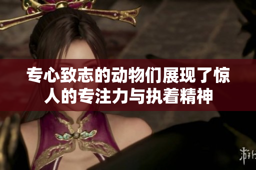 专心致志的动物们展现了惊人的专注力与执着精神