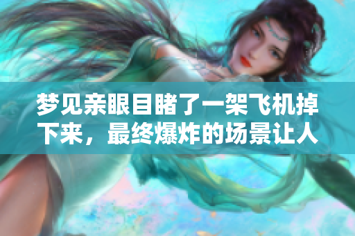 梦见亲眼目睹了一架飞机掉下来，最终爆炸的场景让人震惊不已。