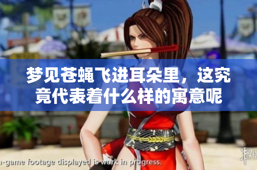 梦见苍蝇飞进耳朵里，这究竟代表着什么样的寓意呢