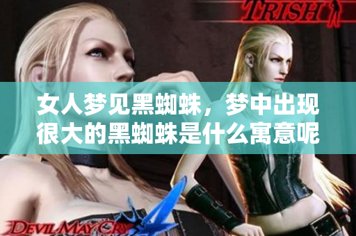 女人梦见黑蜘蛛，梦中出现很大的黑蜘蛛是什么寓意呢
